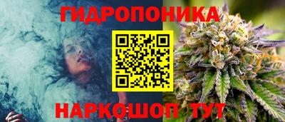 PSILOCYBIN Малгобек