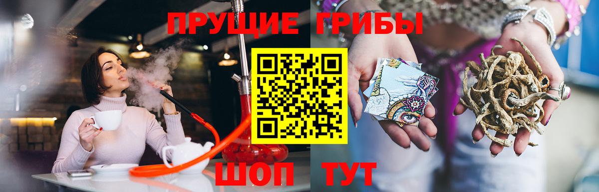 Галлюциногенные грибы прущие грибы  Вход с VPN  Ишимбай  цены   Галлюциногенные грибы Psilocybine cubensis 